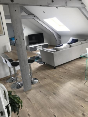 Tres bel appartement climatisé proche hyper centre
